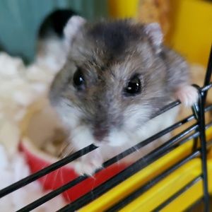 Meet your Posher, Ben